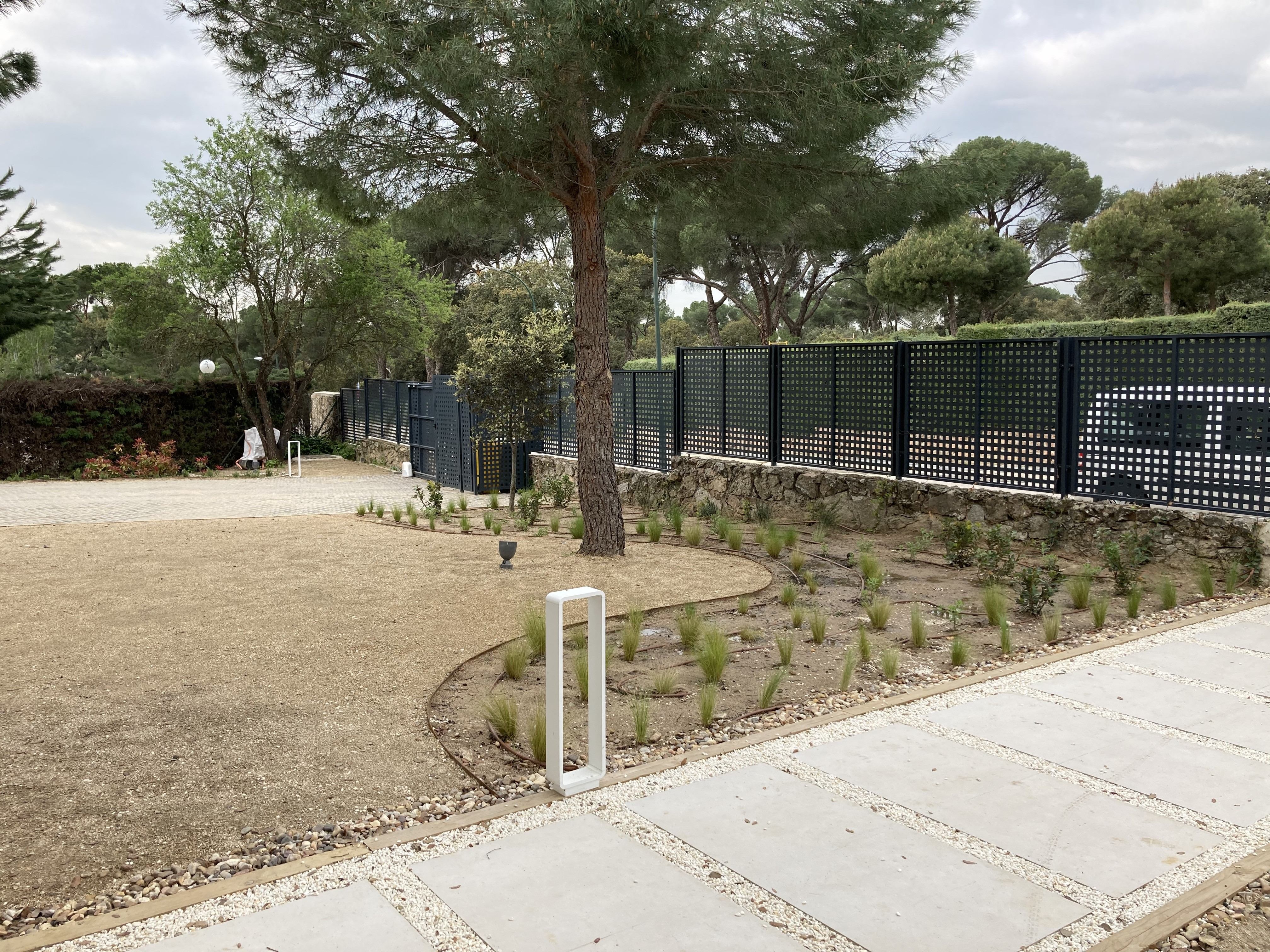 Jardín de cespitosas - Diseño de jardín por Peonia Jardines en Madrid, vista 4