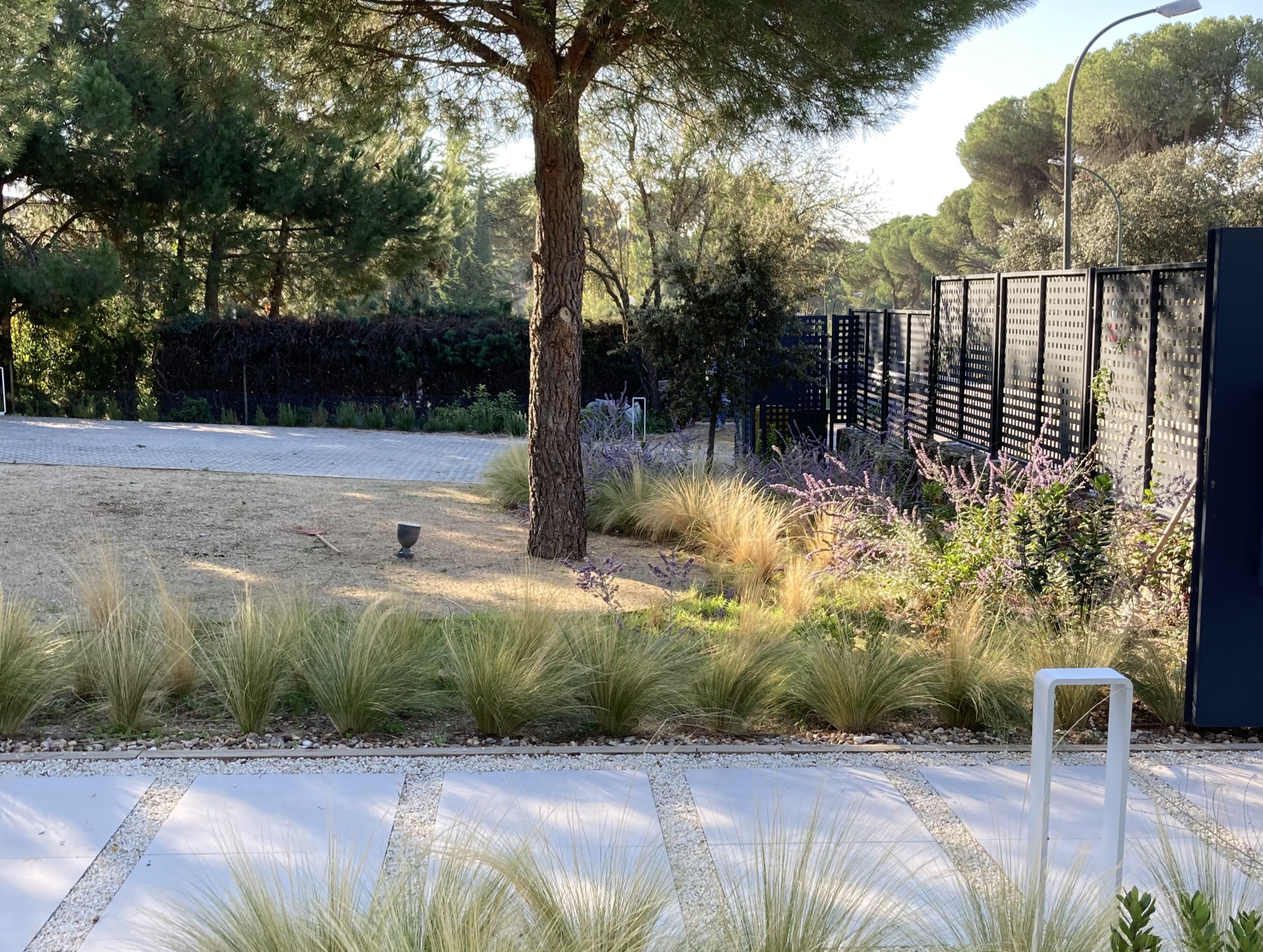 Jardín de cespitosas - Diseño de jardín por Peonia Jardines en Madrid, vista 5