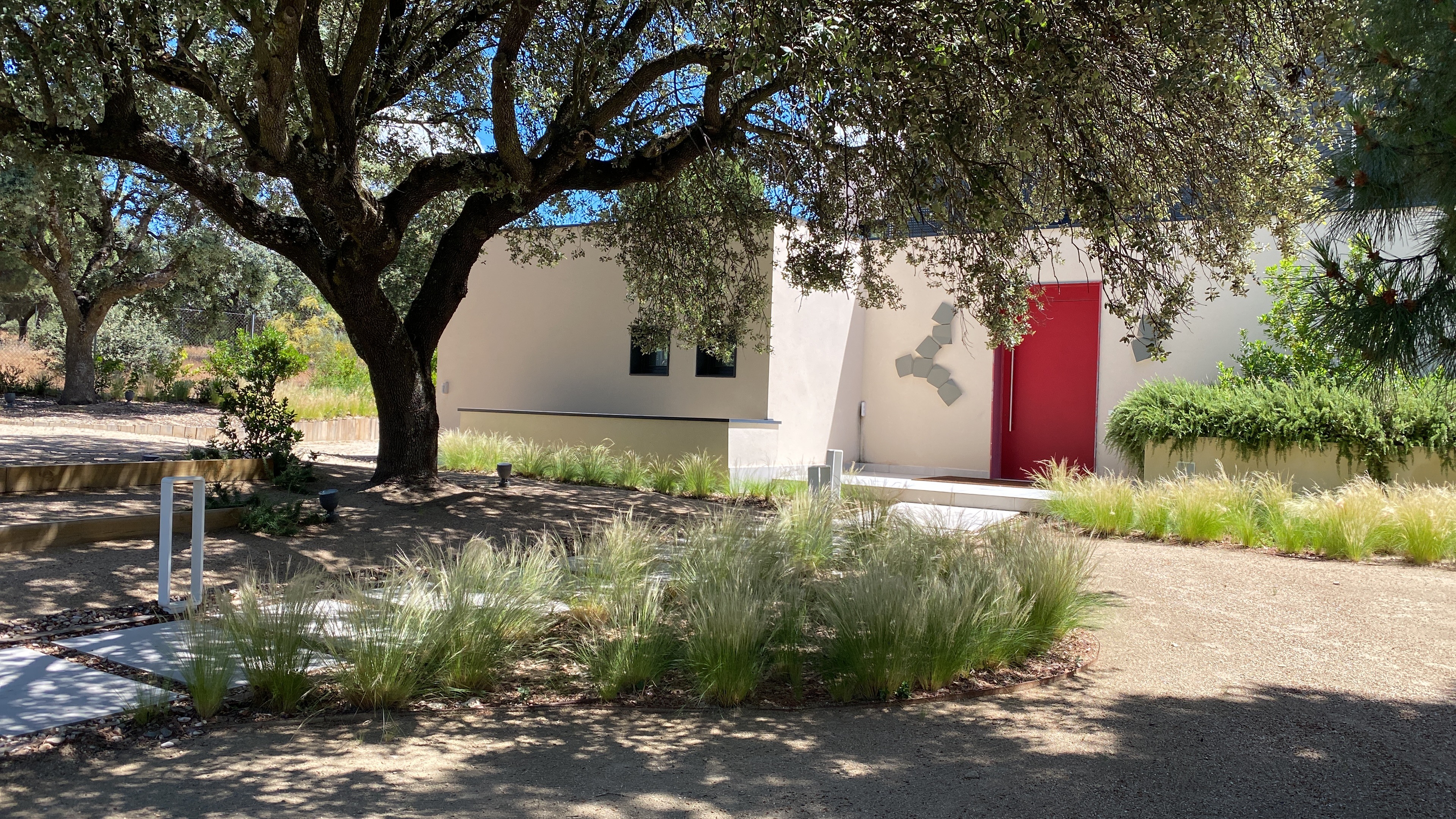 Jardín de cespitosas - Diseño de jardín por Peonia Jardines en Madrid, vista 8