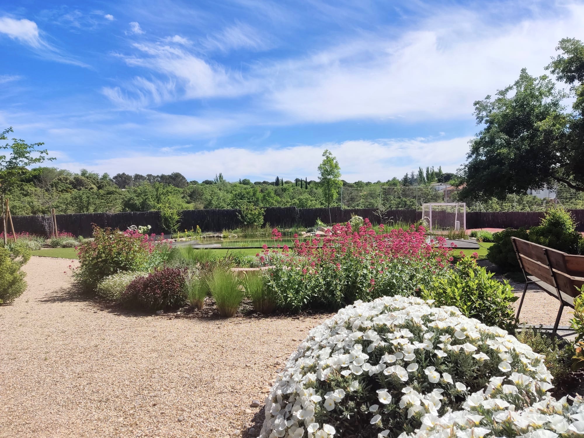 Jardín colorido - Diseño de jardín por Peonia Jardines en Madrid, vista 8