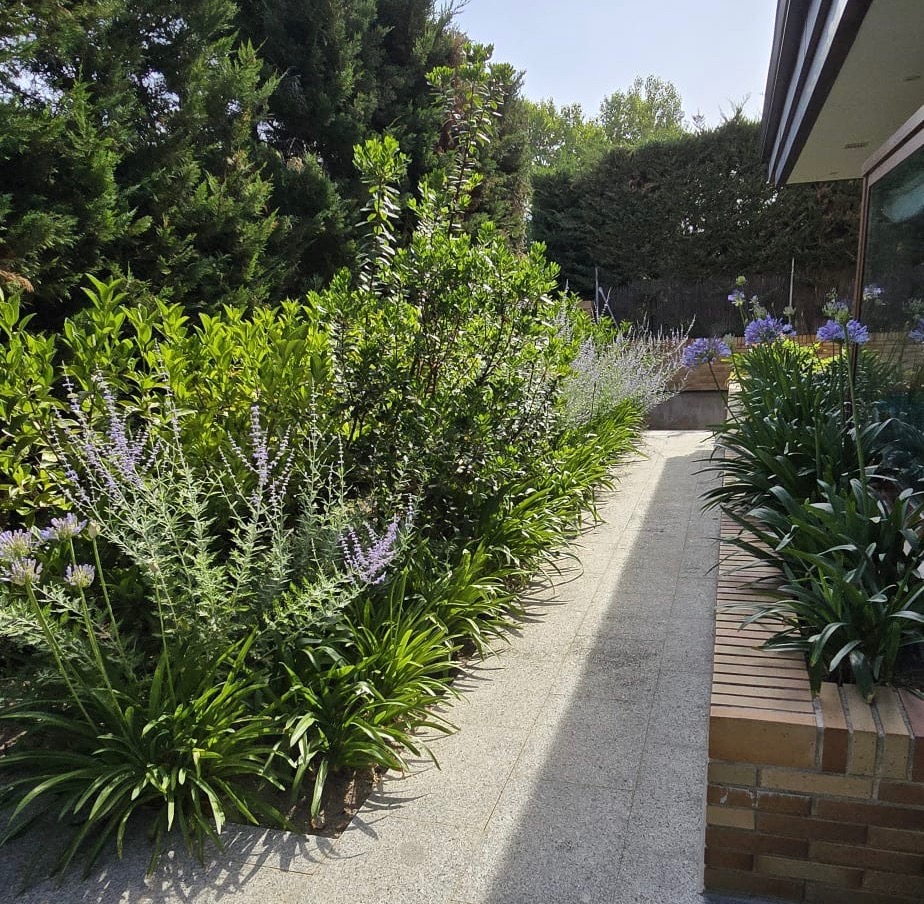 Jardín escalonado - Diseño de jardín por Peonia Jardines en Madrid, vista 1