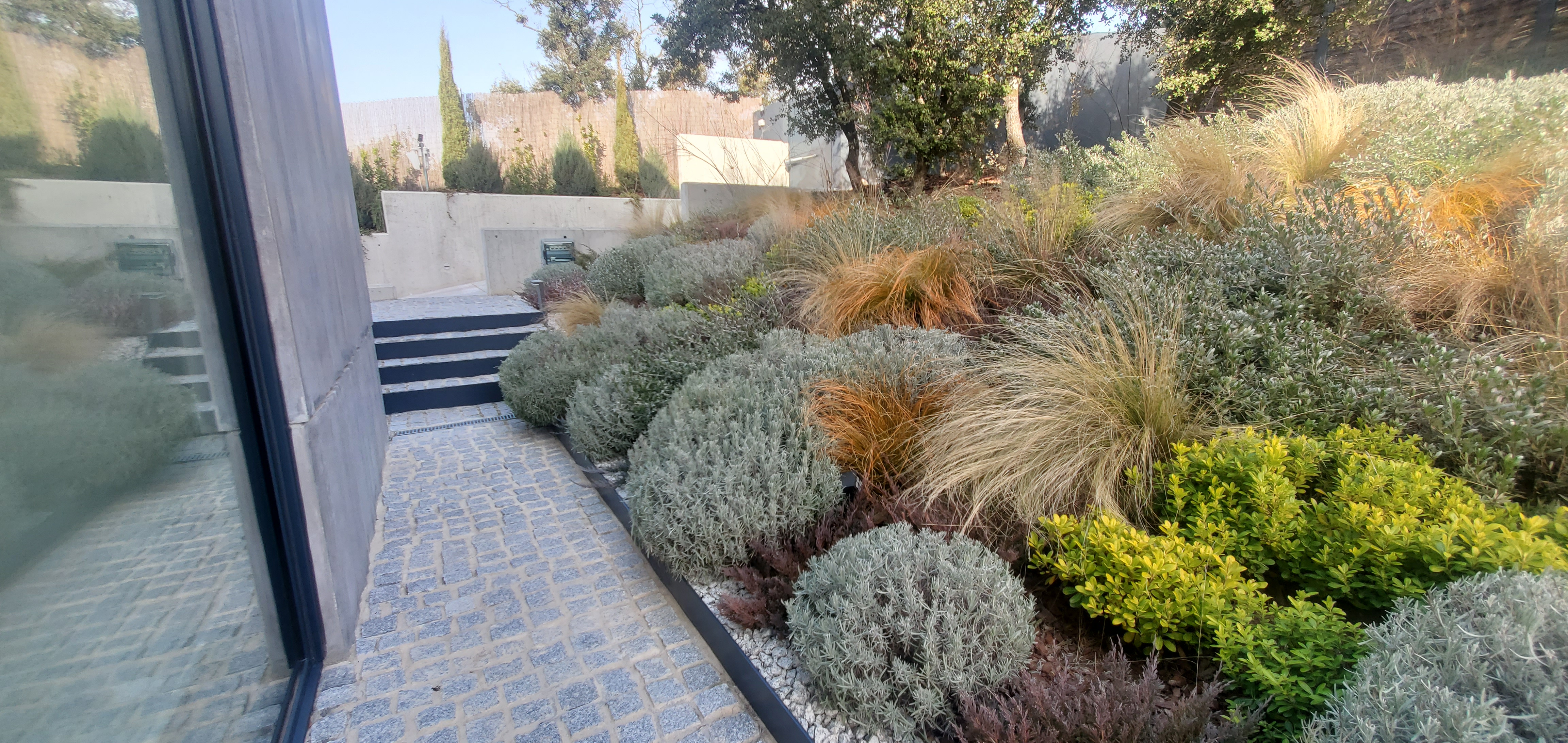 Jardín frondoso - Diseño de jardín por Peonia Jardines en Madrid, vista 7