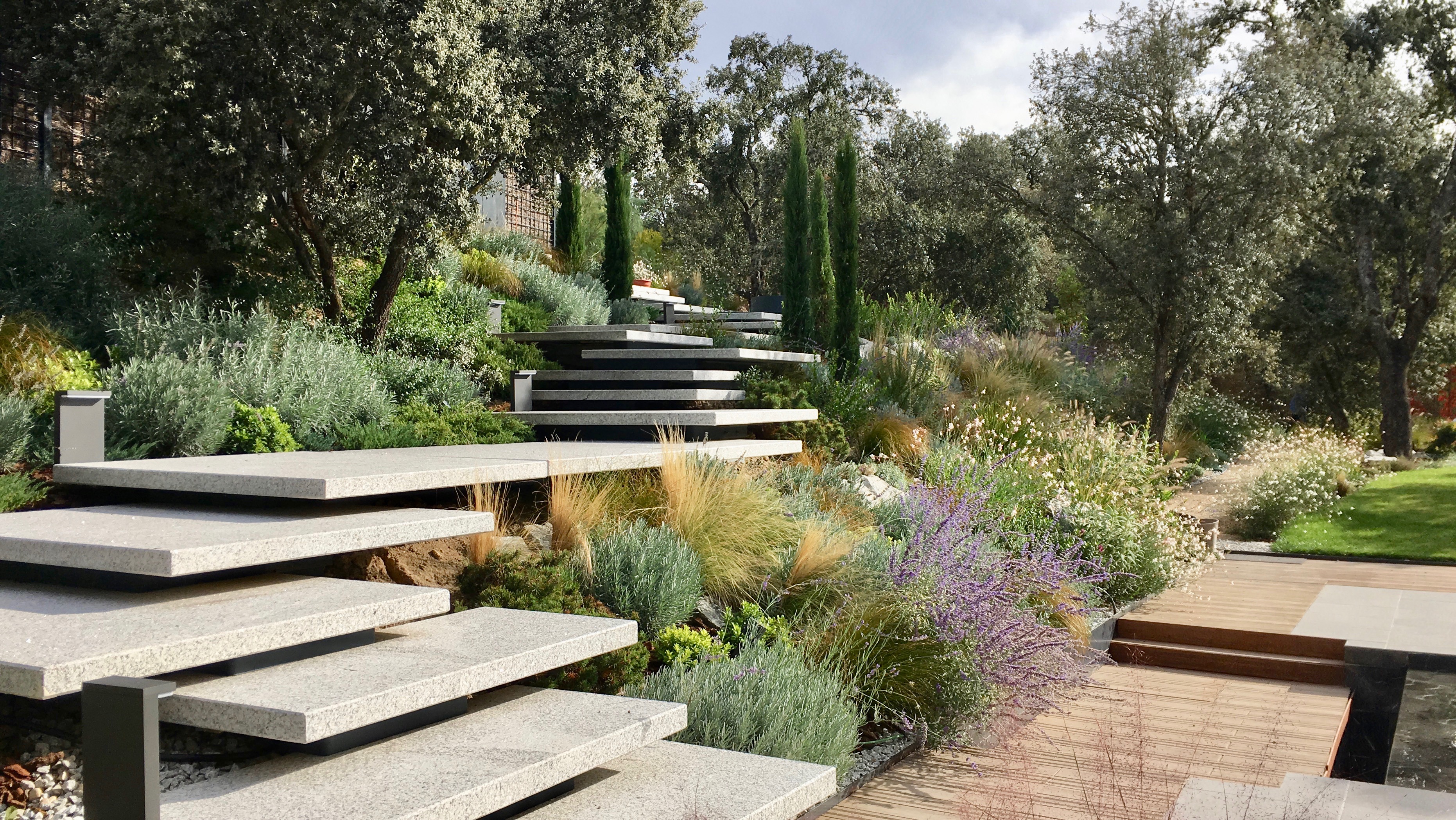 Jardín frondoso - Diseño de jardín por Peonia Jardines en Madrid, vista 2