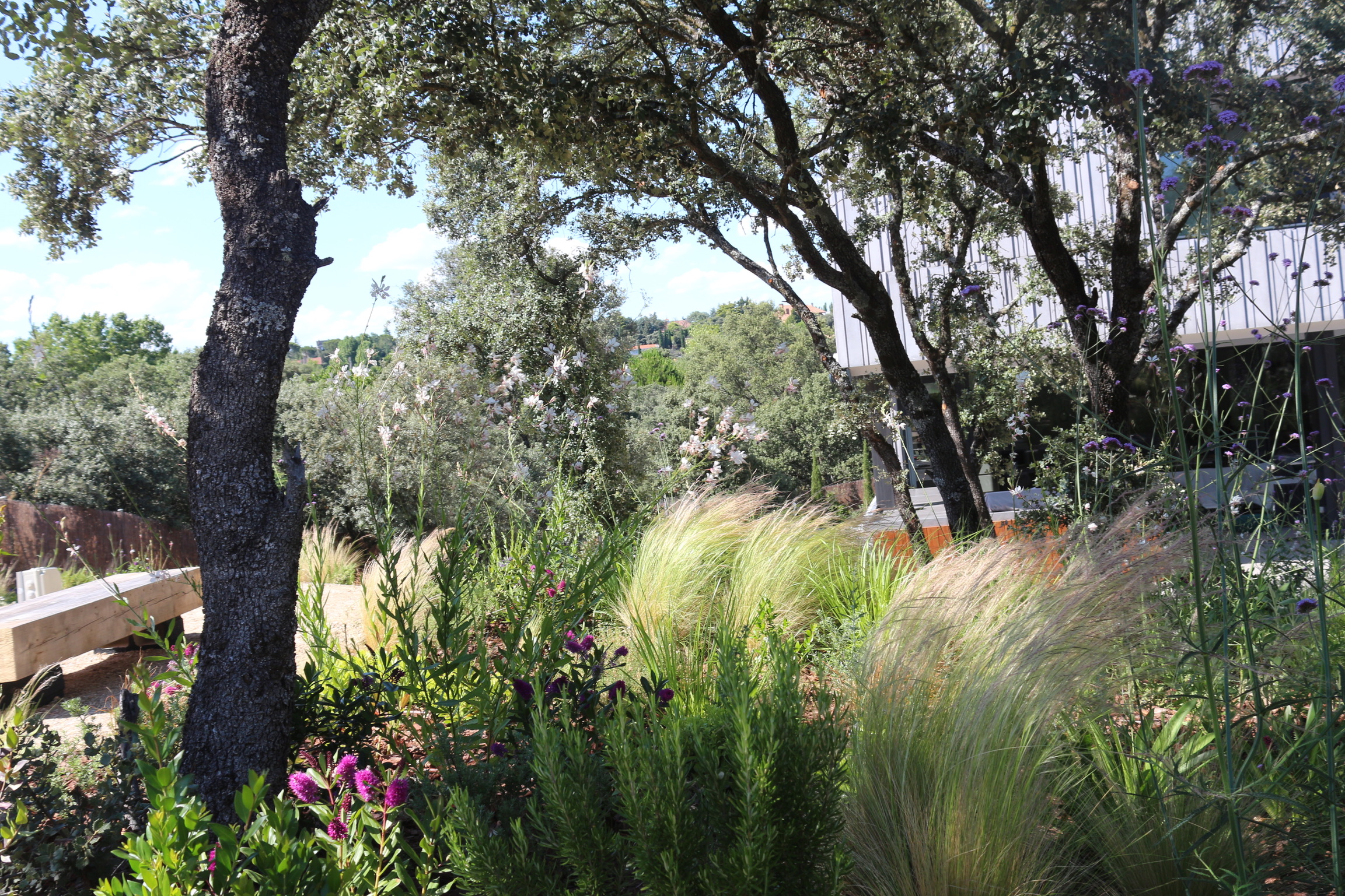 Jardín frondoso - Diseño de jardín por Peonia Jardines en Madrid, vista 3