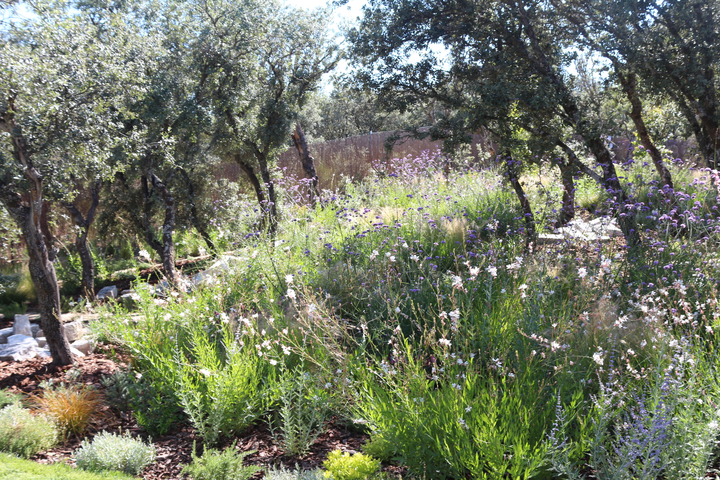 Jardín frondoso - Diseño de jardín por Peonia Jardines en Madrid, vista 9