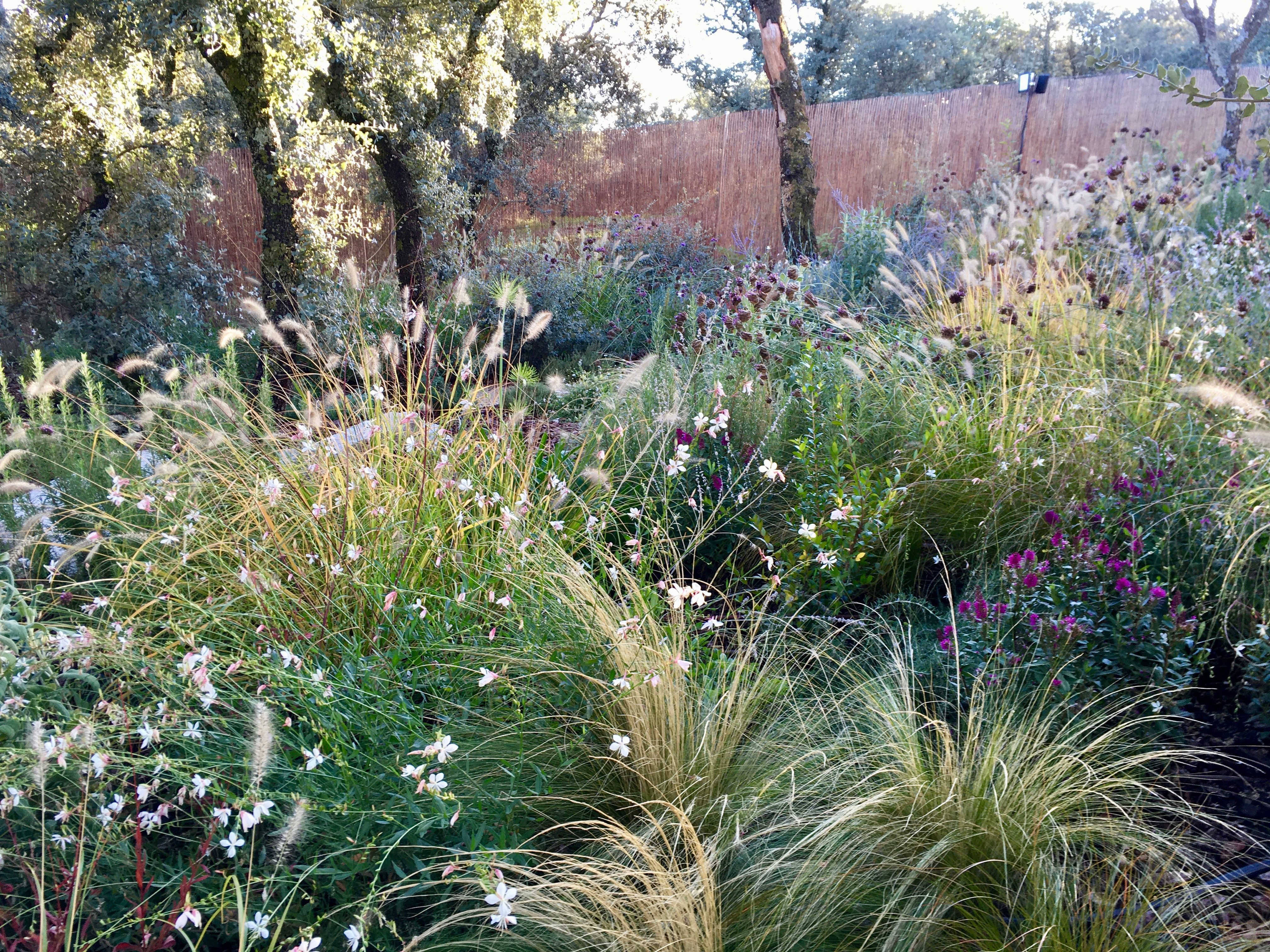 Jardín frondoso - Diseño de jardín por Peonia Jardines en Madrid, vista 5