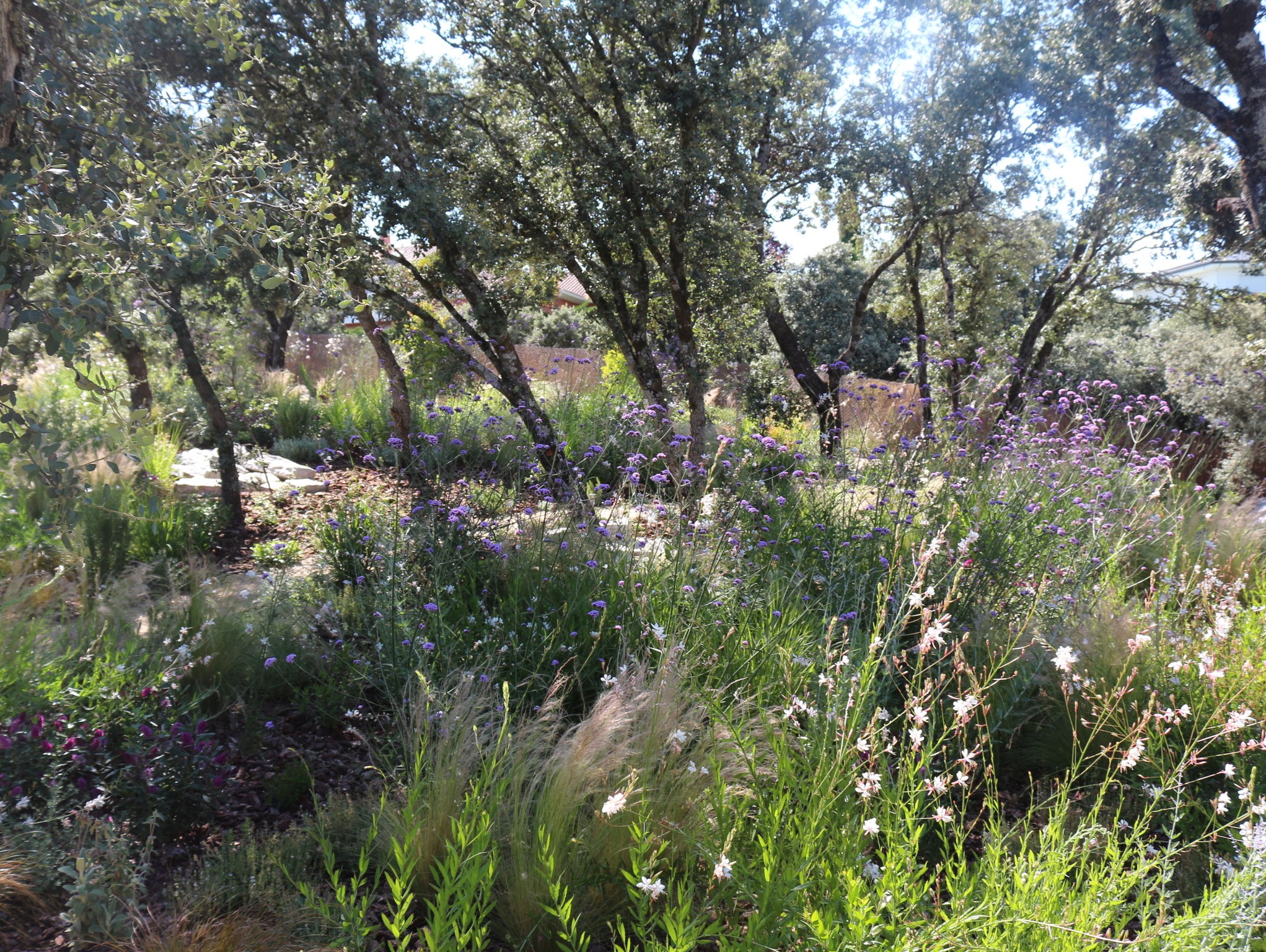 Jardín frondoso - Diseño de jardín por Peonia Jardines en Madrid, vista 4