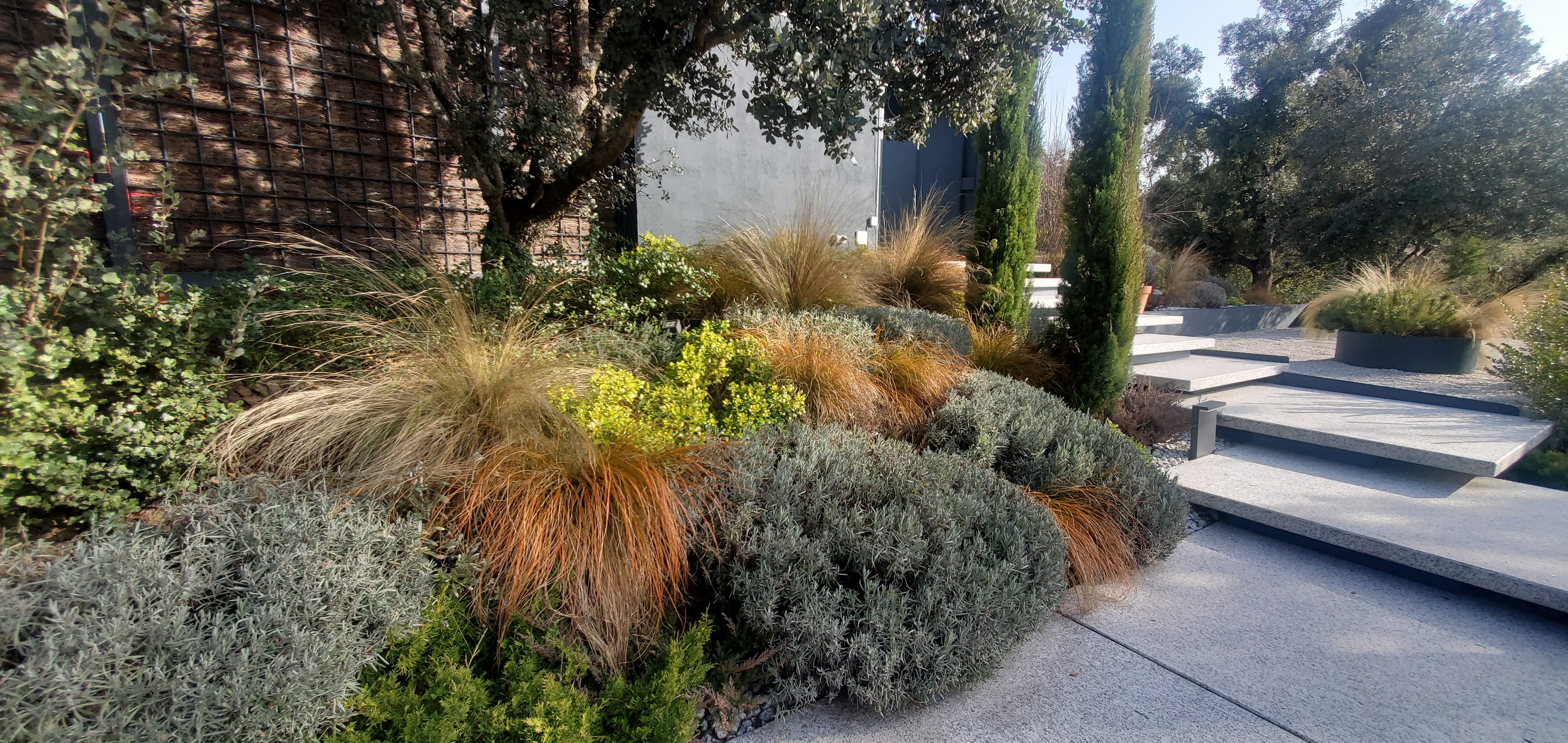 Jardín frondoso - Diseño de jardín por Peonia Jardines en Madrid, vista 6