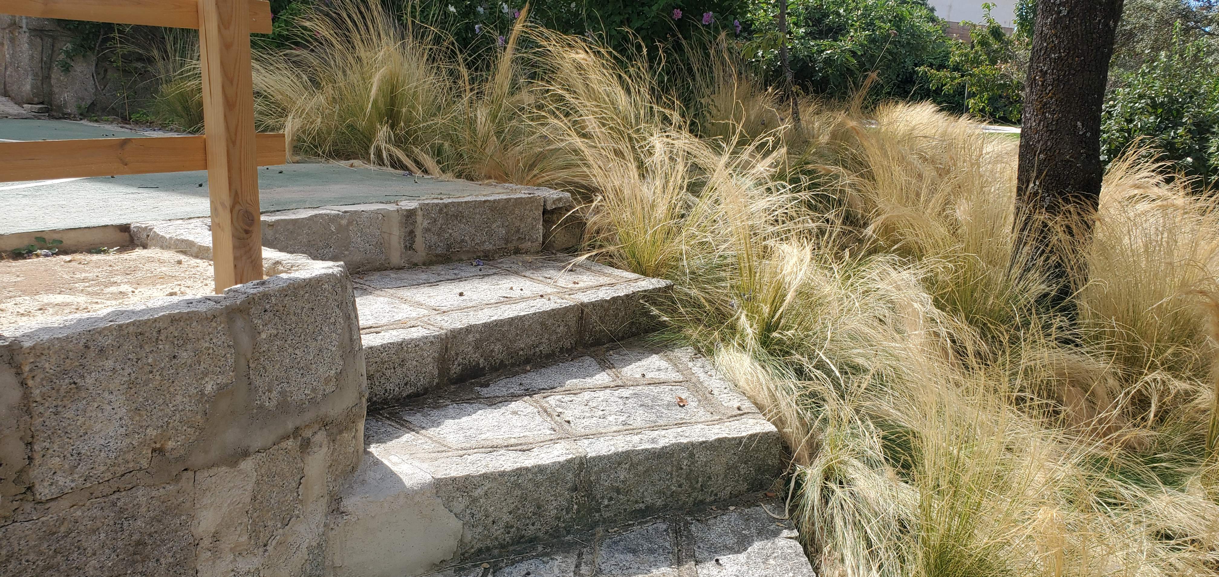 Jardín en la sierra - Diseño de jardín por Peonia Jardines en Madrid, vista 5
