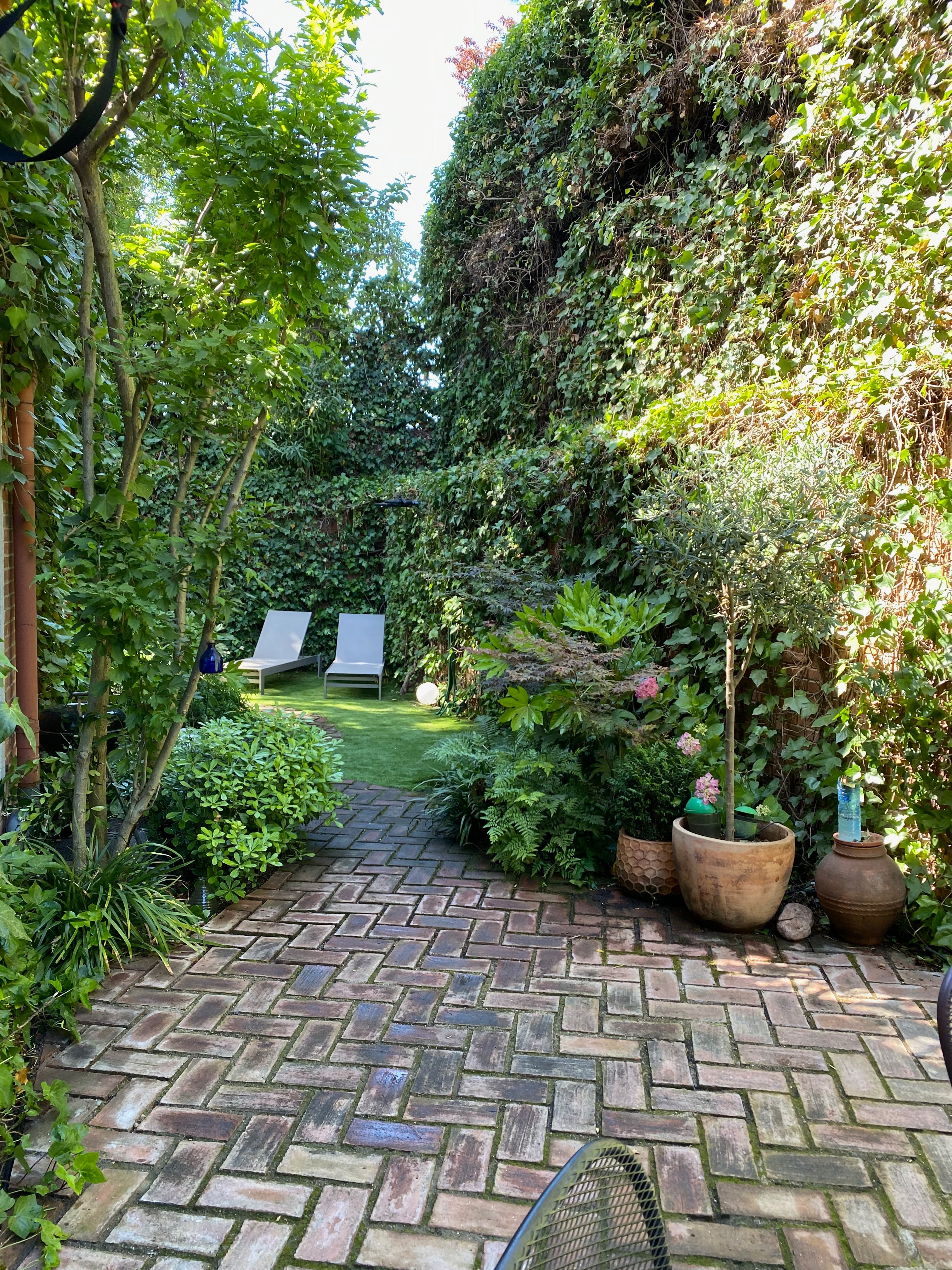 Patio urbano - Diseño de jardín por Peonia Jardines en Madrid, vista 4
