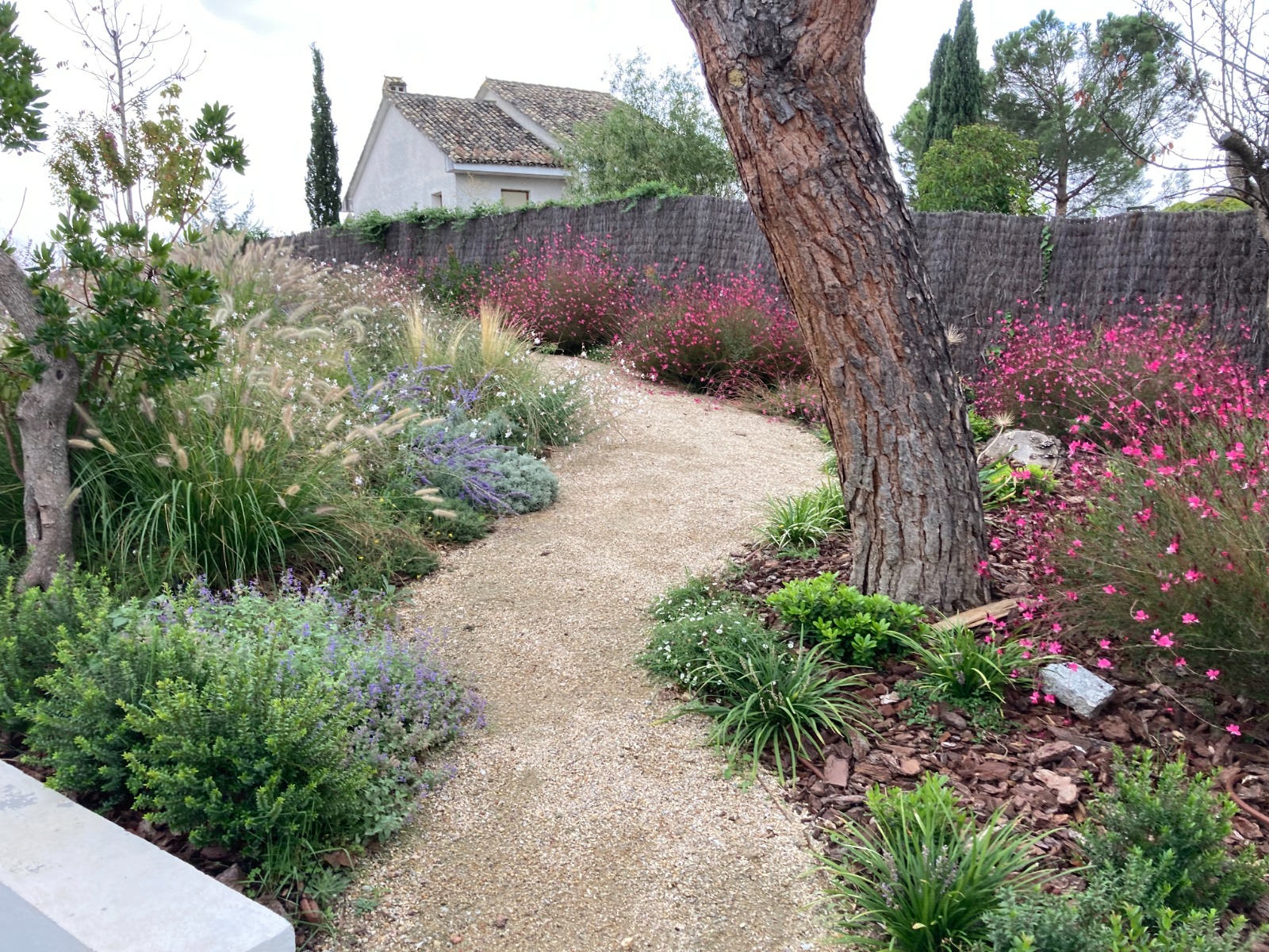 Jardín finalizado con plantaciones maduras y diseño completo