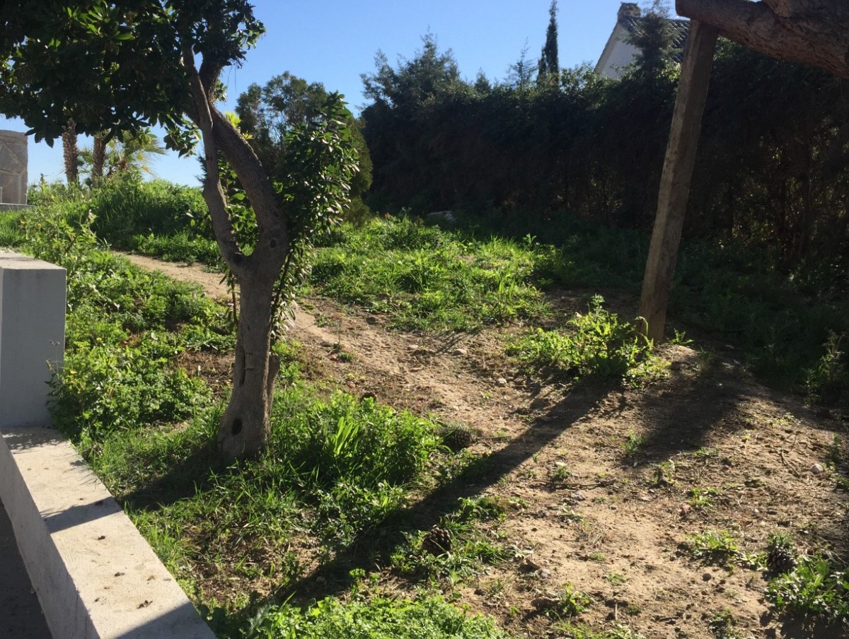 Primera reunión - Evaluación del espacio del jardín antes del diseño