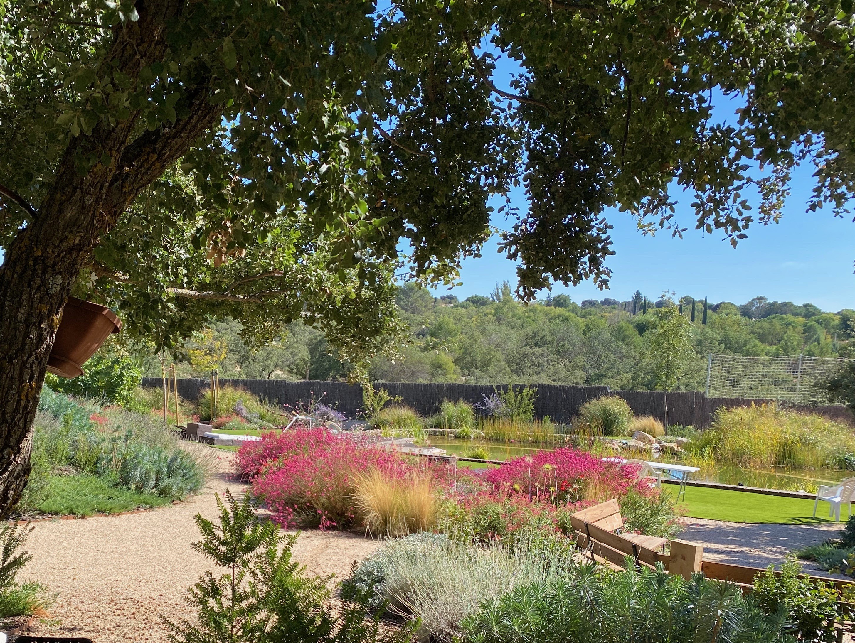 Proyecto Jardín colorido - Los protagonistas en este diseño son los quejigos y la usabilidad. Se caracteriza por una variedad d